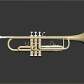 Golden Brass Trumpet As Daily Household Item With Reflective Surface And Sleek Design