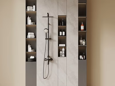 Contemporary Bathroom Interior with Rainfall Shower and Niches Holding Toiletries on Marble Walls 3d model