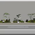 Decorative Indoor Plant Combinations With Ferns Small Trees Stones Moss And Lighting