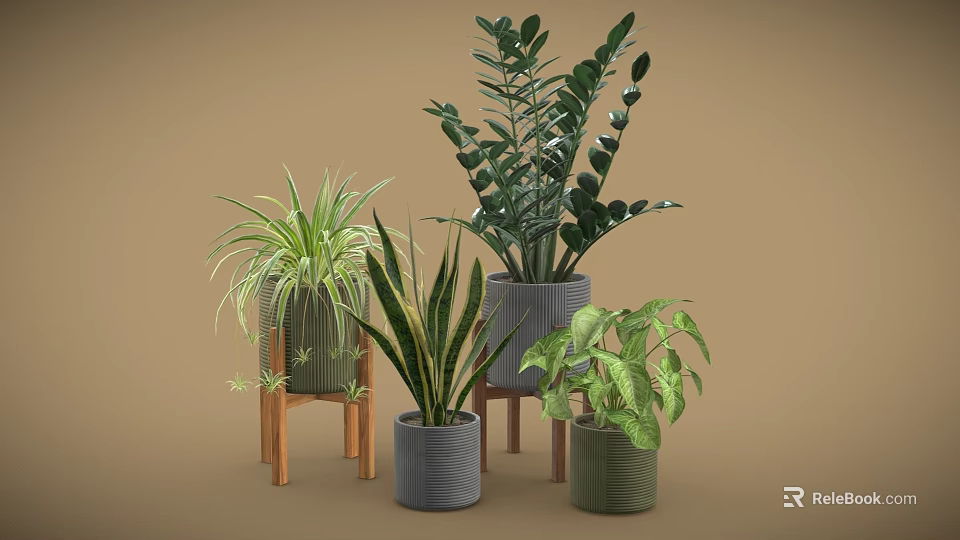 Various Potted Plants with Lush Green Leaves in Gray Green Planters on Wooden Stands 3d model 