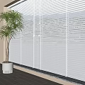 Venetian Blinds Filtering Natural Light Through Large Windows In Modern Room With Potted Plant