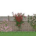 Climbing Vines With Colorful Flowers On Wooden Fence And Green Grass Under Blue Sky