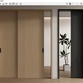 Light Wood And Dark Gray Interior Sliding Doors With Open Panel And Plant Background
