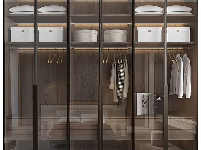 Modern Wardrobe Interior Design With Glass Doors Storage Boxes And Hanging Clothes 3d model