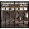 Modern Wardrobe Interior Design With Glass Doors Storage Boxes And Hanging Clothes 3d model