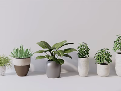 Stylish Various Potted Plants With Diverse Leaf Foliage In Neutral Ceramic Pots For Indoor Decor 3d model