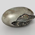 Baby Crocodile Hatchling Emerging from Cracked Egg Shell with Green Eyes