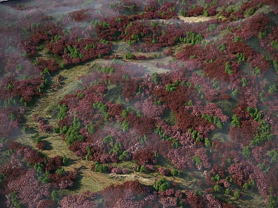Arboreal Trees Covering Hilly Landscape With Red And Green Foliage In Misty Atmosphere 3d model