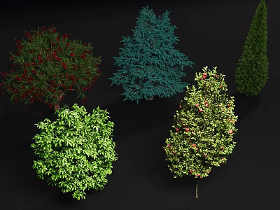 Various Types Of Plants Featuring Different Shapes Green Leaves And Red Fruits 3d model