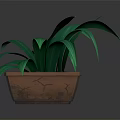 Green Leafy Plant With Long Leaves In Brown Square Pot On Black Surface