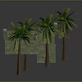 Ancient Green Moss Covered Courtyard With Stone Walls Palm Trees And Steps