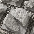 Modern Stone Pebbles Landscape 3d model