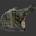 Natural Wooden Stone With Layered Texture And Rough Surface On Reflective Base