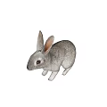 Two Gray Rabbit Figurines Sitting On White Background With Realistic Details 3d model