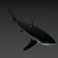 Realistic Shark Game Movie Character with Sharp Teeth and Streamlined Body