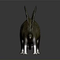 Realistic Stegosaurus Dinosaur Model With Back Plates And Detailed Texture