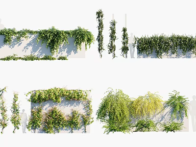 Vines Climbing On Walls With Various Growing Forms And Decorative Greenery For Spaces 3d model