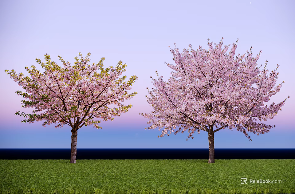 Two Beautiful Arbor Trees With Pink Blossoms Against Blue Sky And Green Grass 3d model 