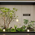 Indoor Landscape Interior With Large Tree Various Green Plants Stones And Round Lights