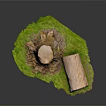 Natural Tree Stump And Log Scene With Green Grass And Detailed Texture