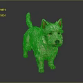 3D Rendered West Highland White Terrier With White Fur And Erect Ears On Dark Background