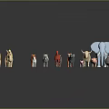 Colorful Animal Models of Various Sizes Including Elephant Cow Sheep on Dark Background with Reflections