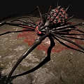 Large Black Reptile With Red Spots On Mossy Stone Surrounded By Red Liquid