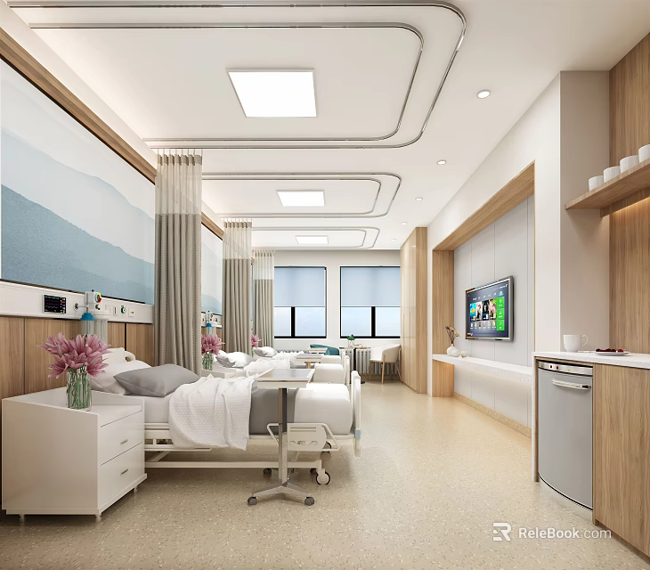 Modern Hospital Ward With Beds Medical Equipment TV Wooden Cabinets Windows Natural Light And Flowers 3d model 