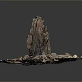 Natural Plant Growth Environment With Dry Wood Stones And Sandy Ground