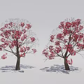 Two Beautiful Red Blossom Trees Against Gray Background With Ground Shadows