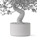 Decorative Olive Tree Ornament With Bent Trunk Green Leaves In White Planter