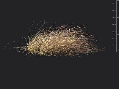 Light Brown And Golden Ornamental Grass With Fluffy Slender Leaves On Black Background 3d model