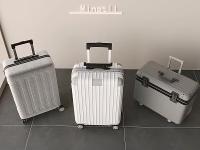 Three Modern Hard Shell Suitcases in Silver White Gray with Spinner Wheels and Telescopic Handles 3d model