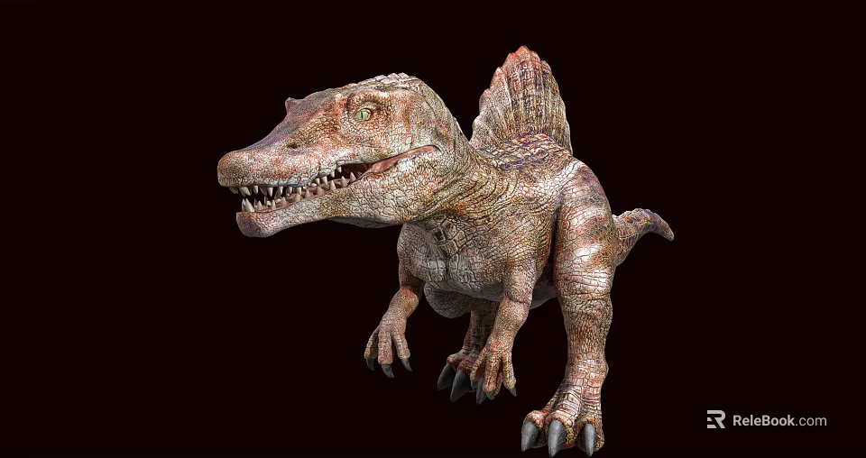 Realistic Spinosaurus Dinosaur Model With Spiked Back Open Mouth And Sharp Teeth 3d model 