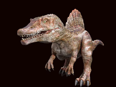 Realistic Spinosaurus Dinosaur Model With Spiked Back Open Mouth And Sharp Teeth 3d model