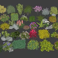 Diverse Garden Shrubs Collection Featuring Various Types Colorful Foliage with Decorative Stones