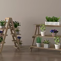 Wooden Ladder Style And Multi Tier Shelving Units With Potted Plants For Indoor Decor