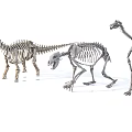 Detailed Dinosaur Skeleton Sculptures With Realistic Bone Structure And Artistic Design 3d model