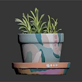 Colorful Decorative Flower Pot With Saucer And Green Succulent Plants