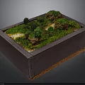 Miniature Moss Landscape In Rectangular Wooden Box With Green Moss And Small Plants