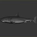 Realistic Gray Shark With Open Mouth And Fins On Smooth Background