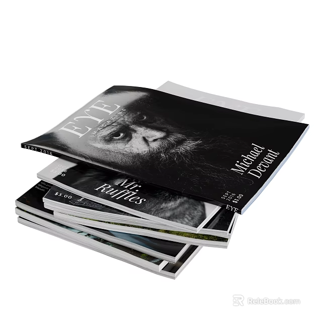 Artistic Stacked Books Magazines With Black and White Portrait Cover Design 3d model 