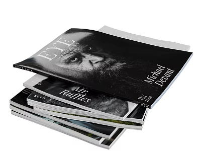 Artistic Stacked Books Magazines With Black and White Portrait Cover Design 3d model