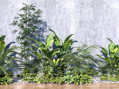 Various Green Plants Arrangement Against Gray Wall With Wooden Floor And Pebbles 3d model