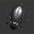 Dark Colored Beetle With Hard Carapace And Long Legs On Gray Background 3d model
