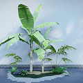 Banana Tree With Large Green Leaves And Small Plants For Indoor Decoration