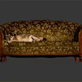 Vintage Floral Pattern Sofa In Golden Brown With Red Legs And Dog Resting