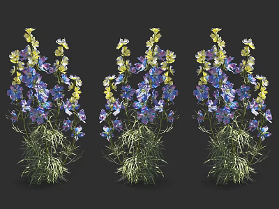 Vibrant Blue And Yellow Flower Blooms In Three Clusters Against Black Background For Decor 3d model