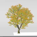 Lush Arbor With Green And Orange Leaves And Brown Trunk On White Background