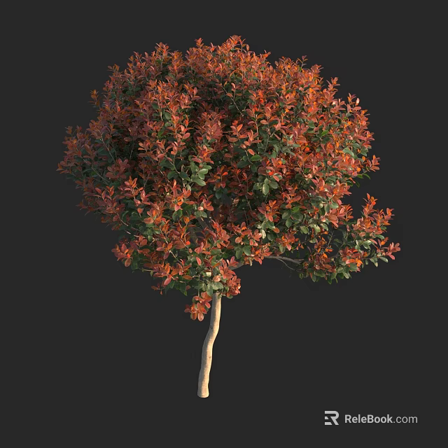Vibrant Shrub With Red And Green Foliage And Light Brown Trunk Against Black Background 3d model 